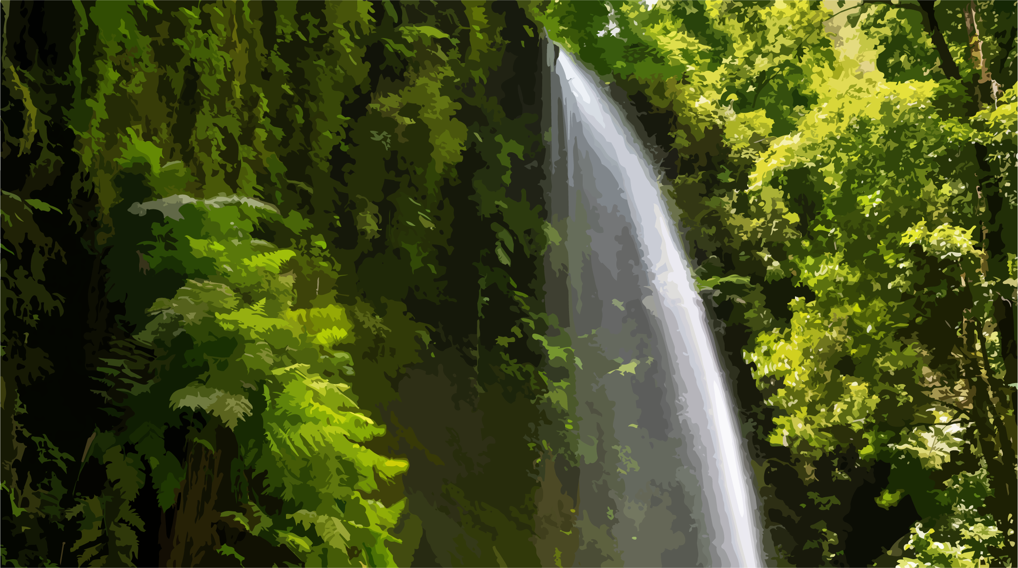 Zona humeda del noreste de La Palma